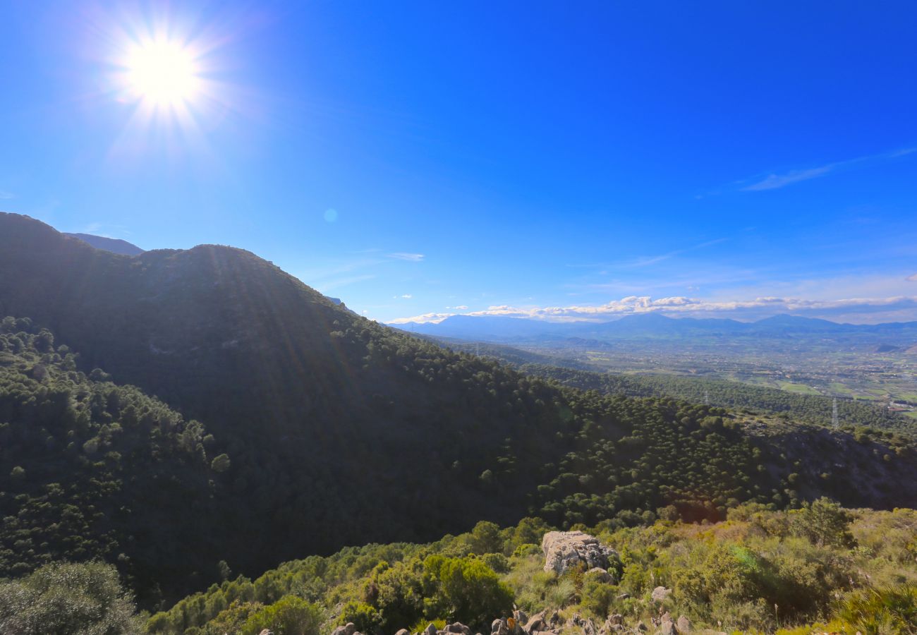 Villa en Alhaurin de la Torre - LAS BREÑAS Premium Rural Villa 4PAX