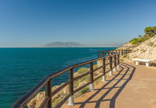 Villa in Rincón de la Victoria - VILLA ALBORAN Beachfront 9PAX