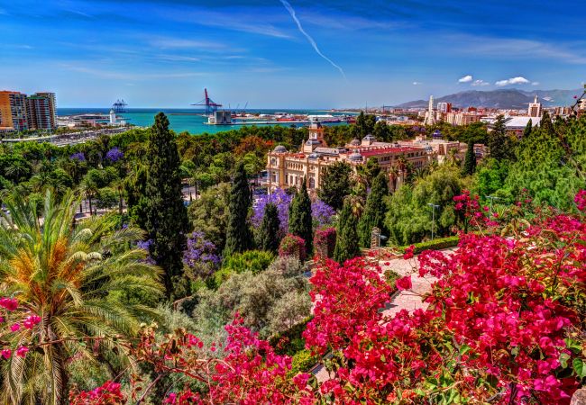 Apartment in Málaga - OASIS Málaga City Apartment